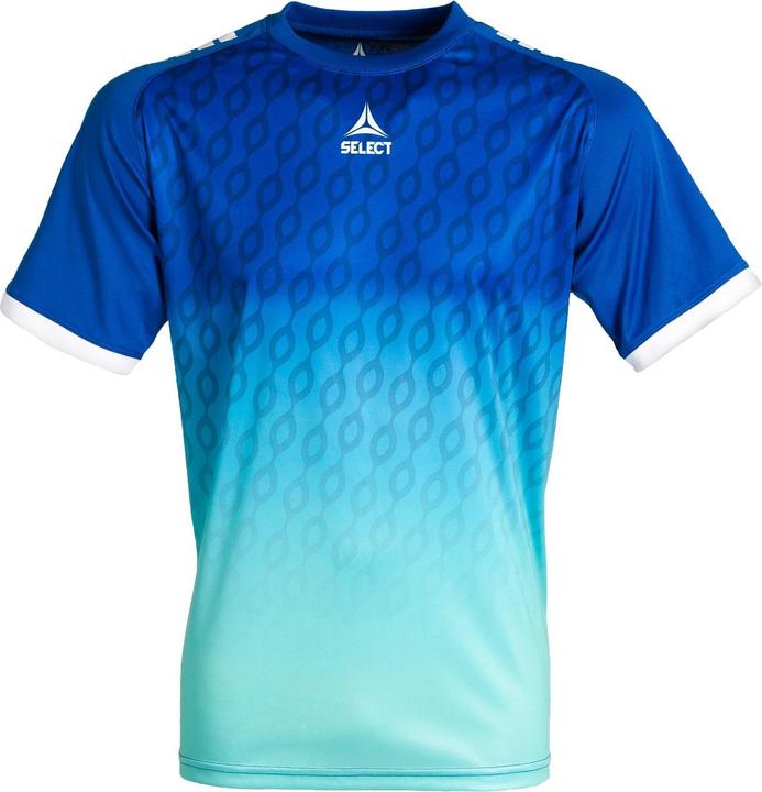 Select trikot islande sr