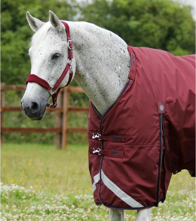 Immagine prodotto Premier Equine Buster 400 g (183 cm)