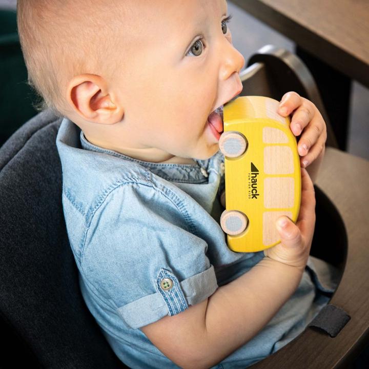 Actual product image Hauck Highchairpad Select
