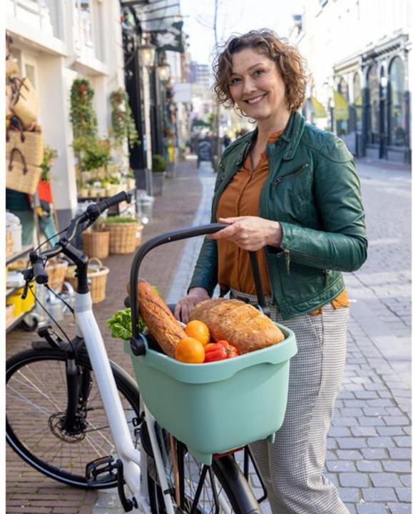 Actual product image New Looxs Basket Basket Clipper green MIK (28 l)