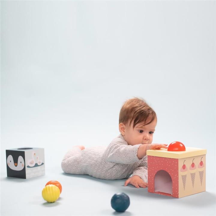Produktbild Taf Toys Nordpol