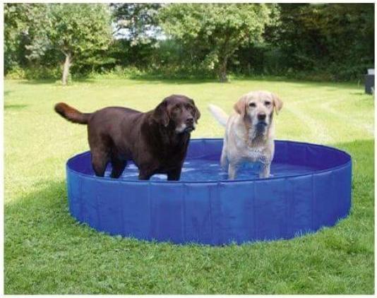 Immagine prodotto Kerbl Piscina per cani (Piscina per cani)