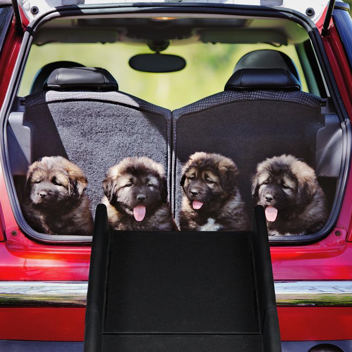 Image du produit Relaxdays Rampe chiens (Chien, Pliable)