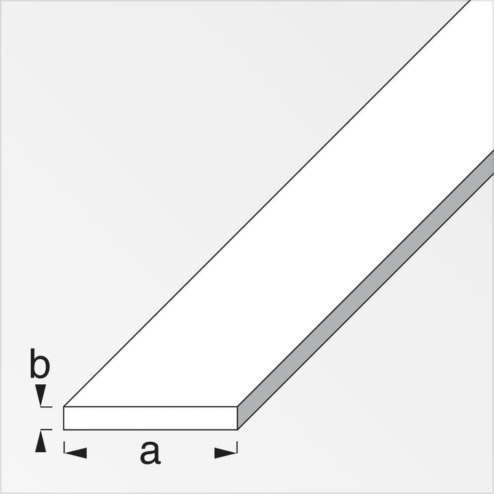 Image du produit Alfer Profilé plat