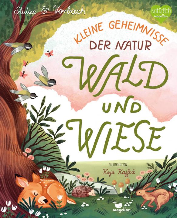 Produktbild Kleine Geheimnisse der Natur - Wald und Wiese (Deutsch, Stütze & Vorbach, Kaja Kajfež, 2022)