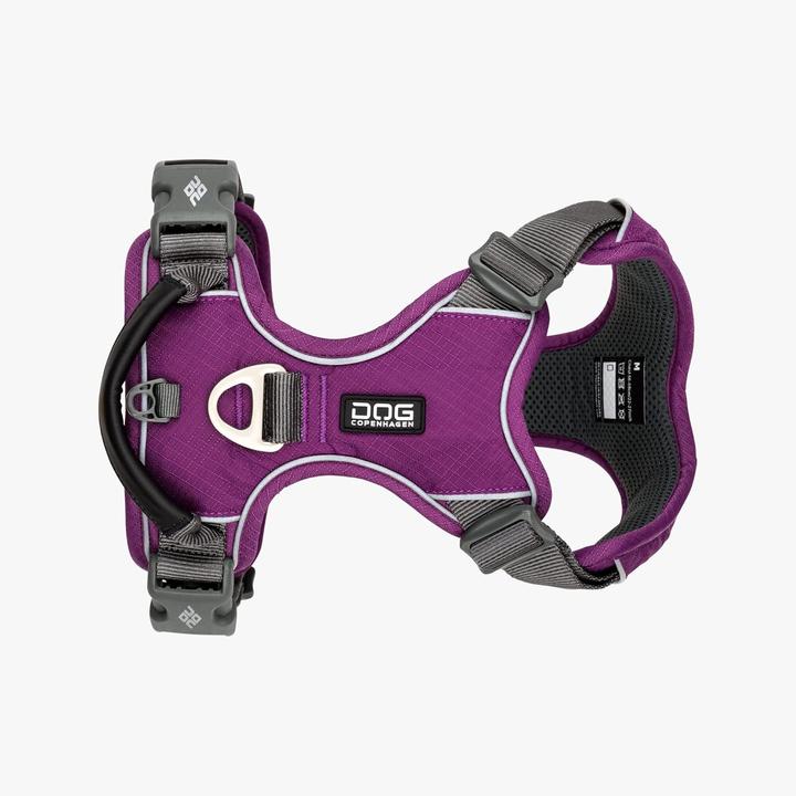 Actual product image DOG Copenhagen Comfort Walk Pro Hundegeschirr V2 (XS, Dog)