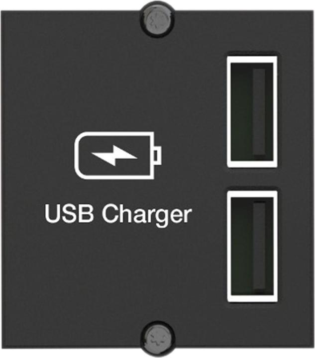 Bachmann Custom Modul USB Doppel-Charger