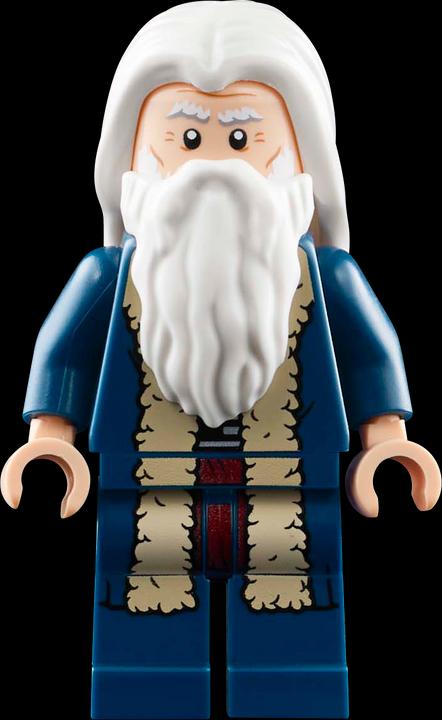 Actual product image LEGO Die Flugmaschine von Leonardo da Vinci (10363, LEGO Icons)