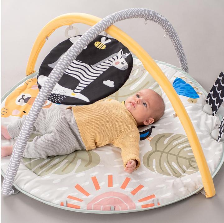 Productafbeelding Taf Toys Savannah