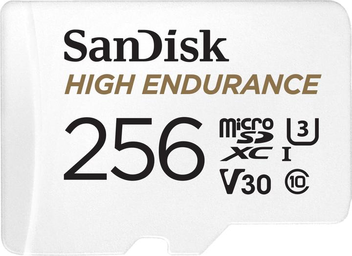 SanDisk High Endurance (256 GB, microSDXC, U3, UHS-I)