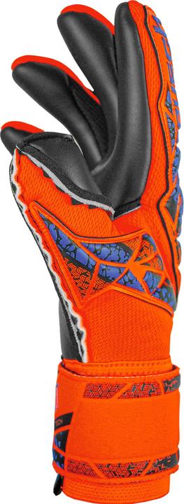 Image du produit Reusch Attrakt Duo (8)