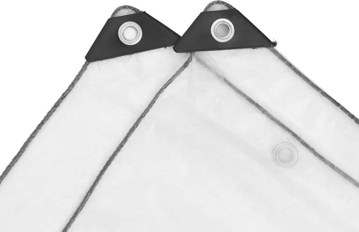 Immagine prodotto VidaXL Telone trasparente con occhielli (400 x 500 cm)