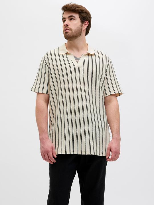 Image du produit Jack & Jones Plus Size Poloshirt Poloshirt (5XL)