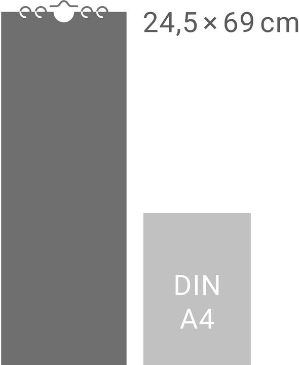 Produktbild Rosina Wachtmeister Vertical Kalender 2026 (24,5 x 69 cm, Deutsch)
