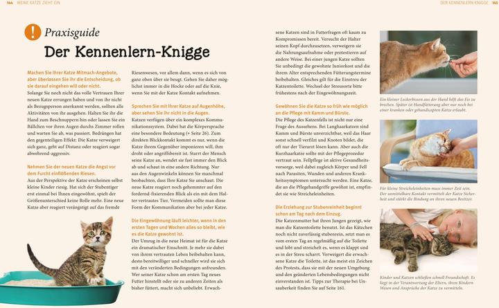 Image du produit Katzen (Allemand, Gerd Ludwig, 2013)