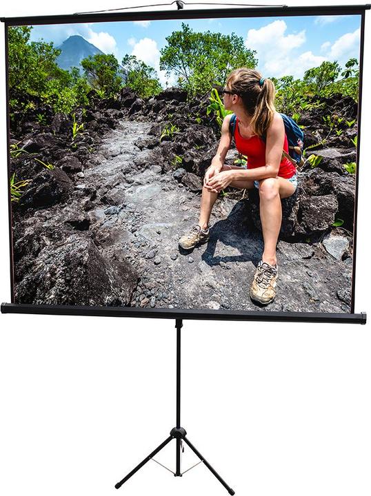 Image du produit Irradio IR-S1180RN (95", 1:1)