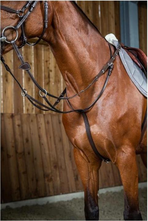 Dy'on Sliding ring martingale Working Collection