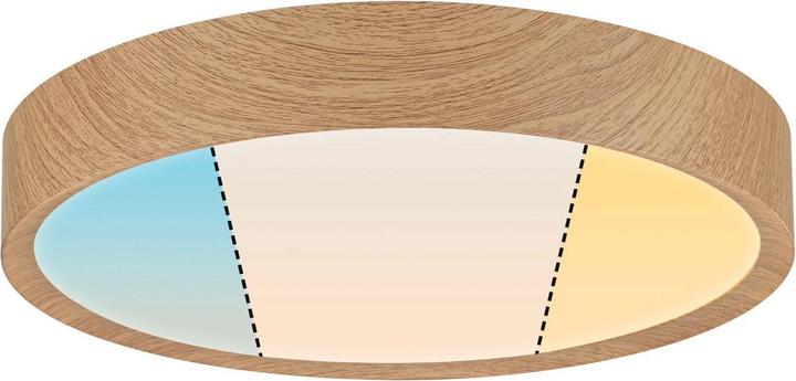 Immagine prodotto Paulmann Lampada da soffitto a LED (2400 lm)