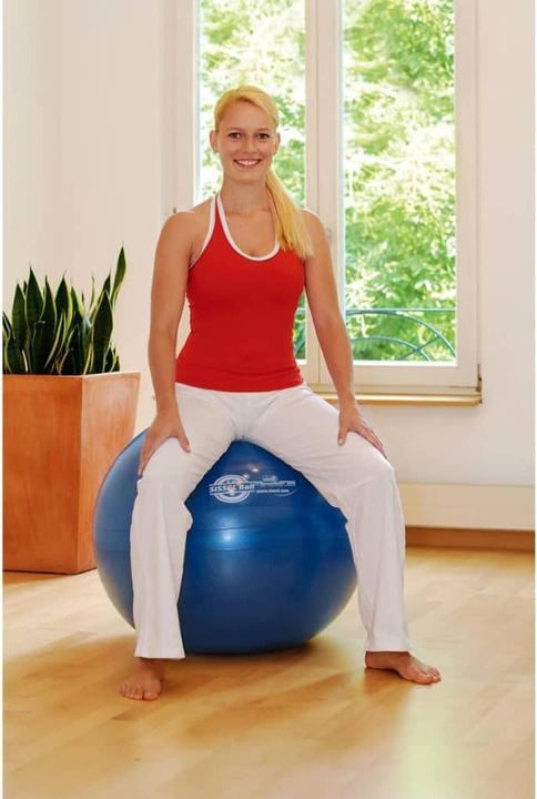 Produktbild Sissel Ball (65 cm)