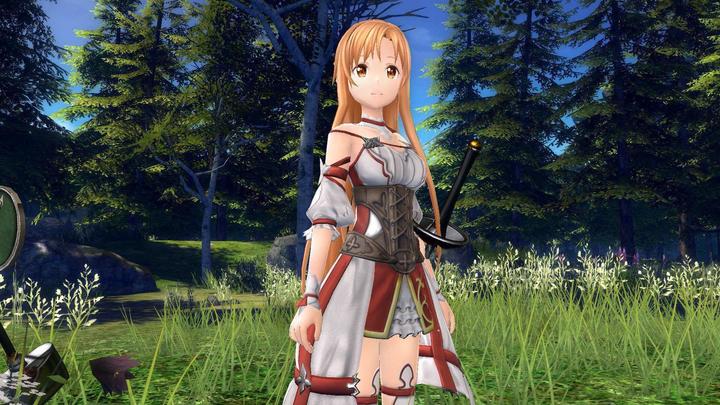 Actual product image Bandai Namco Sword Art Online: Hollow Realization (import) (PS4, EN)