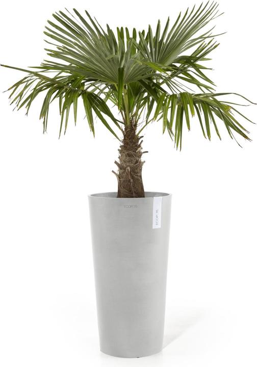 Produktbild Ecopots Amsterdam halbhoch (66 cm)