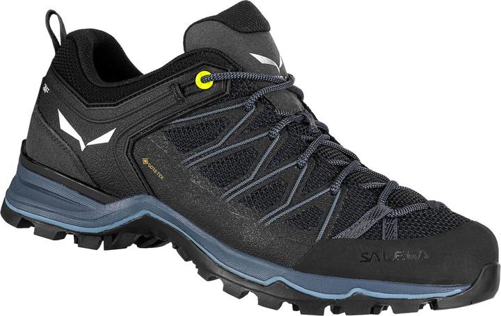 Produktbild Salewa MTN Trainer Lite GTX Schuhe (48.5)
