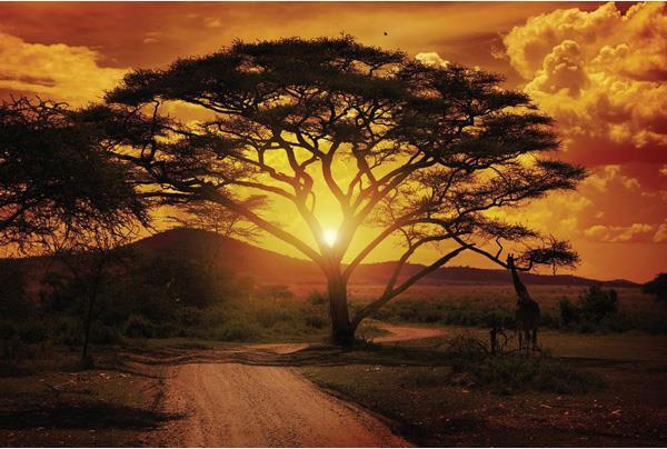 Produktbild Eibert Visual Sunset Savanna (97 x 65 cm)