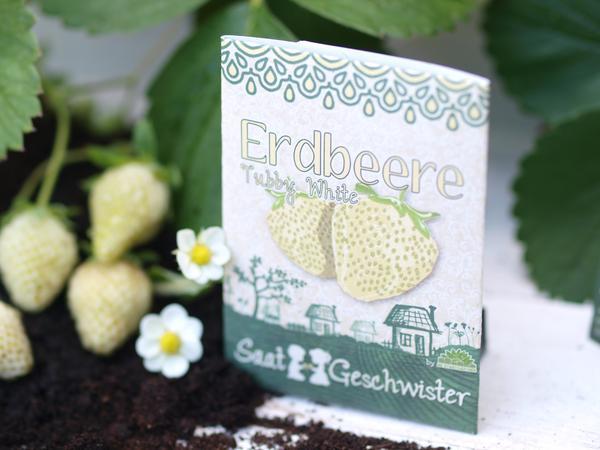 Immagine prodotto Saatgeschwister Mini giardino - Fragola, giallo (Seme di frutta)