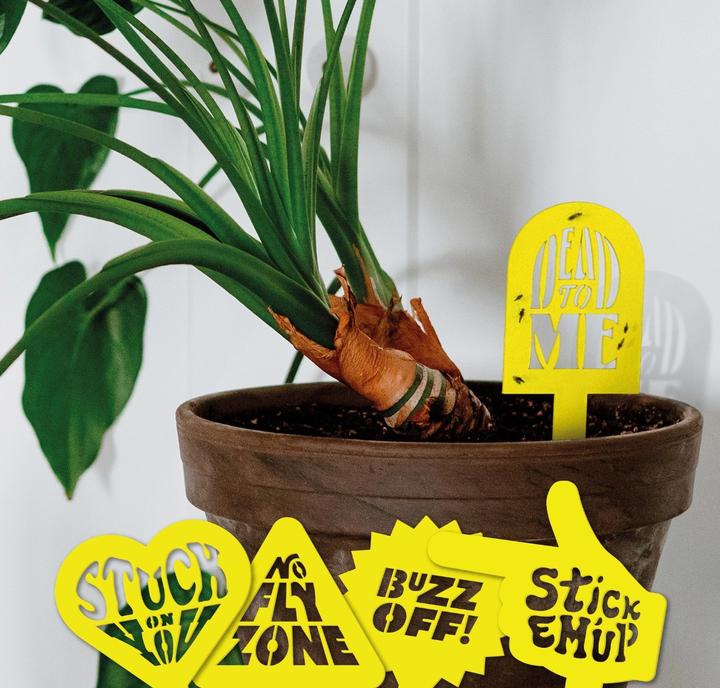 Actual product image Bubblegum Plant insect trap Sticky traps 10 pieces