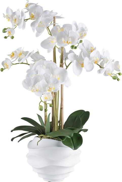 Image du produit Gasper Orchidee in Keramik Vase, Weiss H: 110 cm (110 cm)