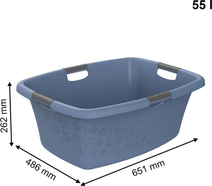 Image du produit Rotho Fleurs (50 l)