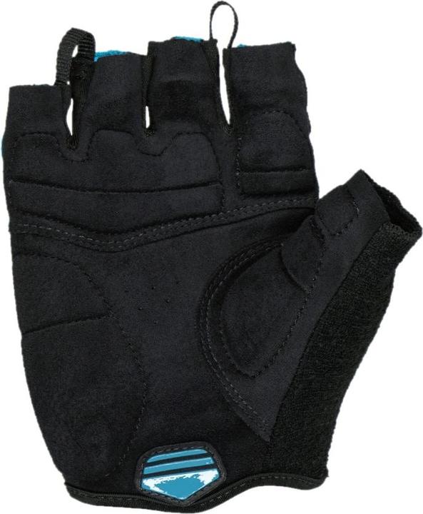 Immagine prodotto Lizard Skins Guanto Aramus Apex, blu polare, M/9 (9, M)