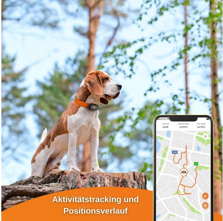 Actual product image Weenect GPS tracker (Dog)