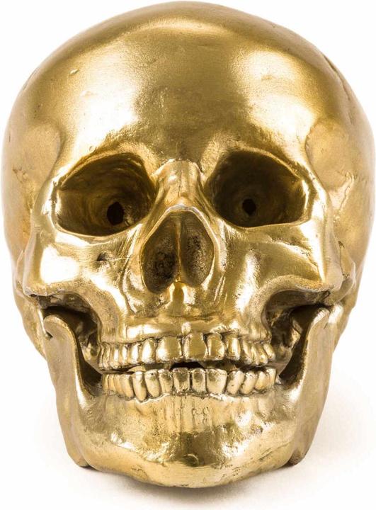 Produktbild Diesel Living with Seletti Human Skull Culture Skulture - Wunderkammer Skulptur