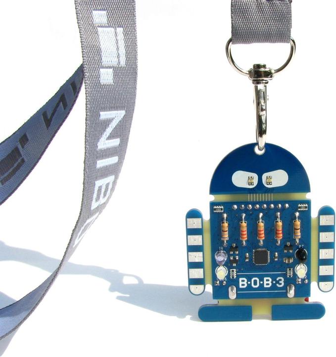 Actual product image Nicai Systems Bob3