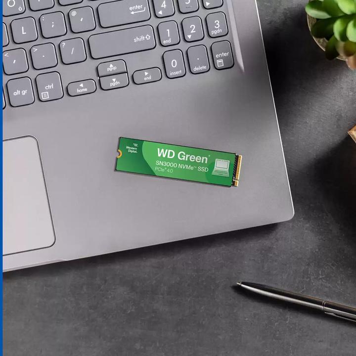 Actual product image WD Green SN3000 (500 GB, M.2 2280)