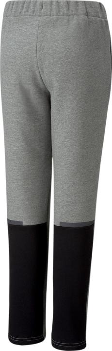 Image du produit Puma teamCUP Casuals Pants Jr (164)