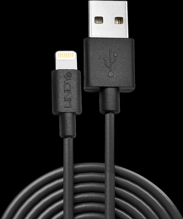 Actual product image Lindy Lightning – USB A (0.50 m, USB 2.0)