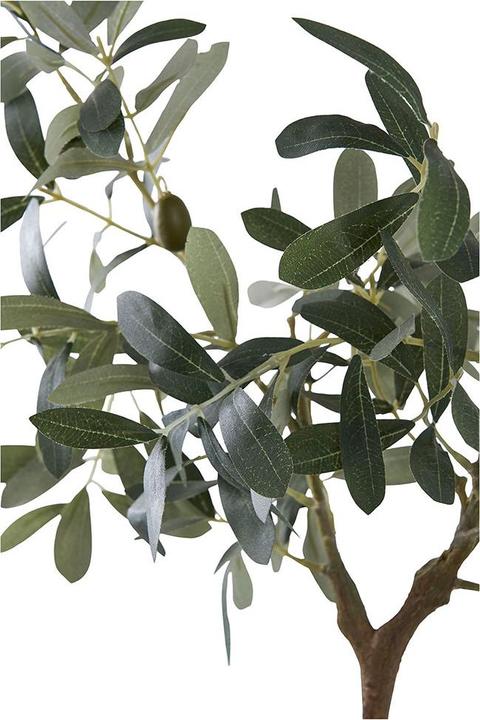 Produktbild House Nordic Olive (61 cm)