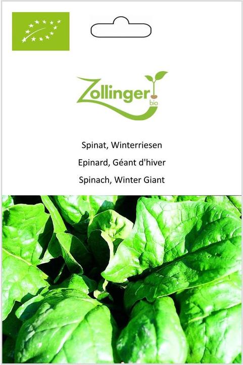 Immagine prodotto Zollinger Bio Spinaci, Giganti d'inverno (Germogli)