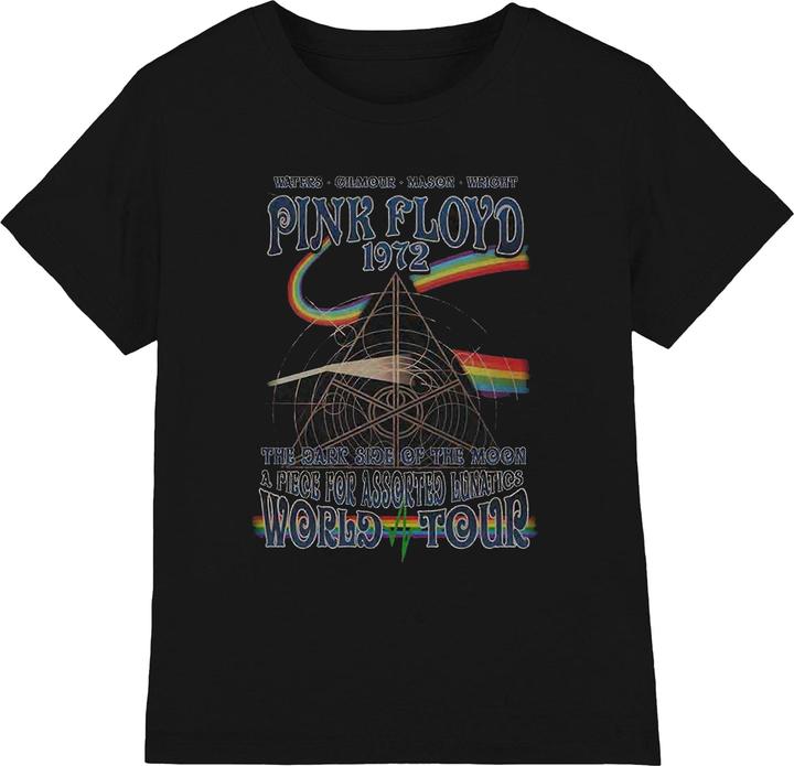Actual product image Music Brand Unisex Adult Assorted Lunatics T-Shirt (XL)