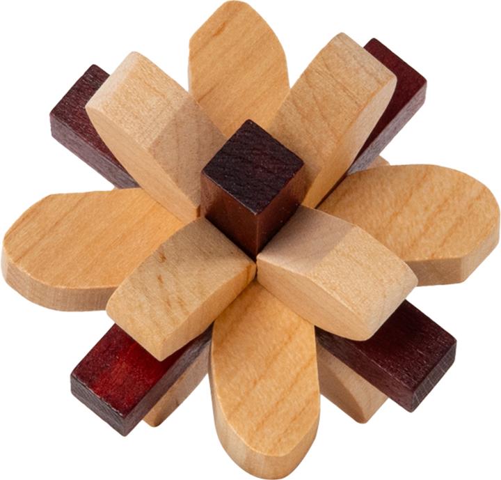 Actual product image Recent Toys Brain Puzzle No.2 Parietal Lobe (German)