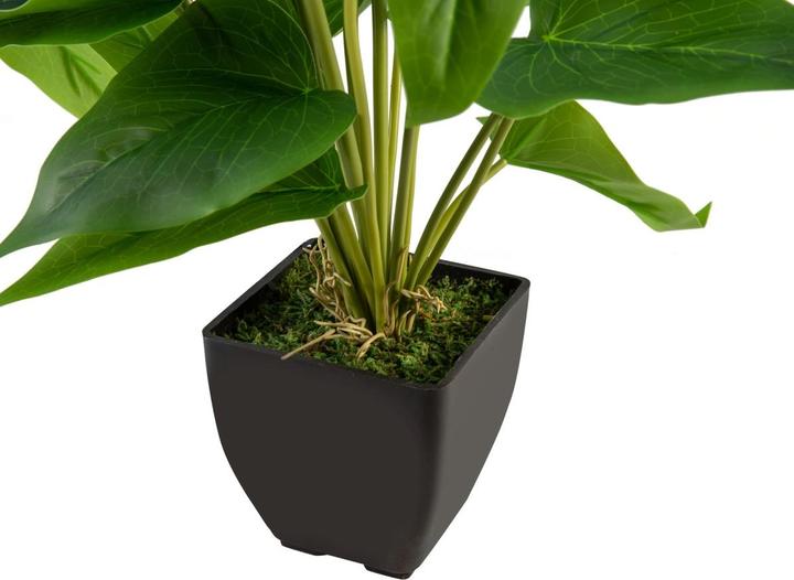 Actual product image Europalms Anthurium, artificial plant, white pink