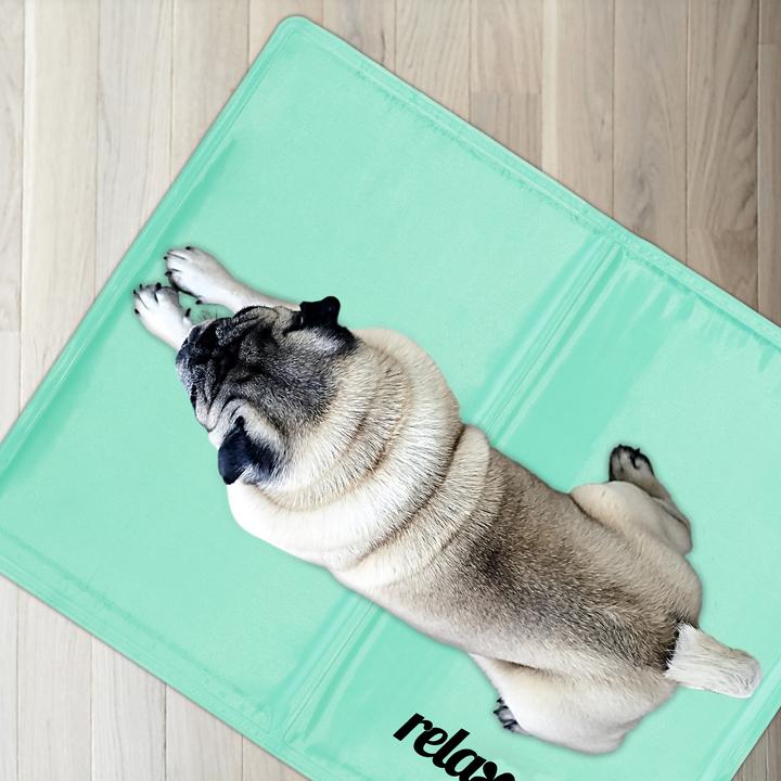 Immagine prodotto Relaxdays Tappeto di raffreddamento per cani (Cane)