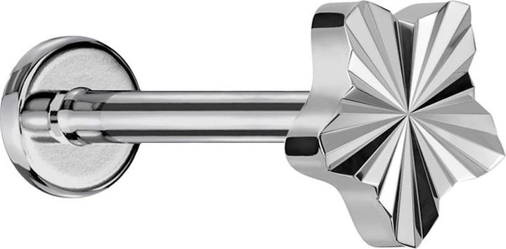 Immagine prodotto Star Piercing Micro labret filo interno argento disco taglio diamante stella argento (senza ottone, Titanio G23)
