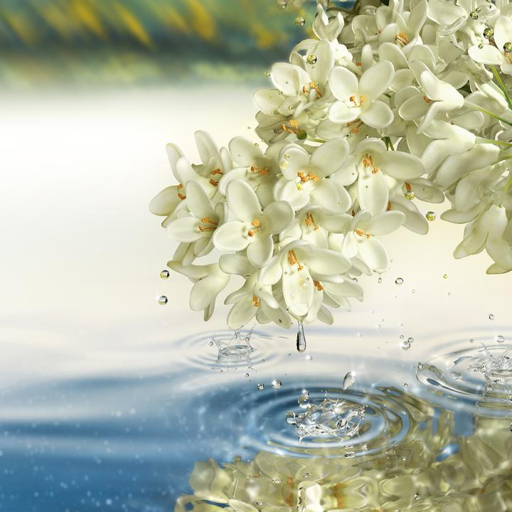Image du produit Estée Lauder Parfum de luxe Paradise Moon (Eau de parfum, 100 ml)