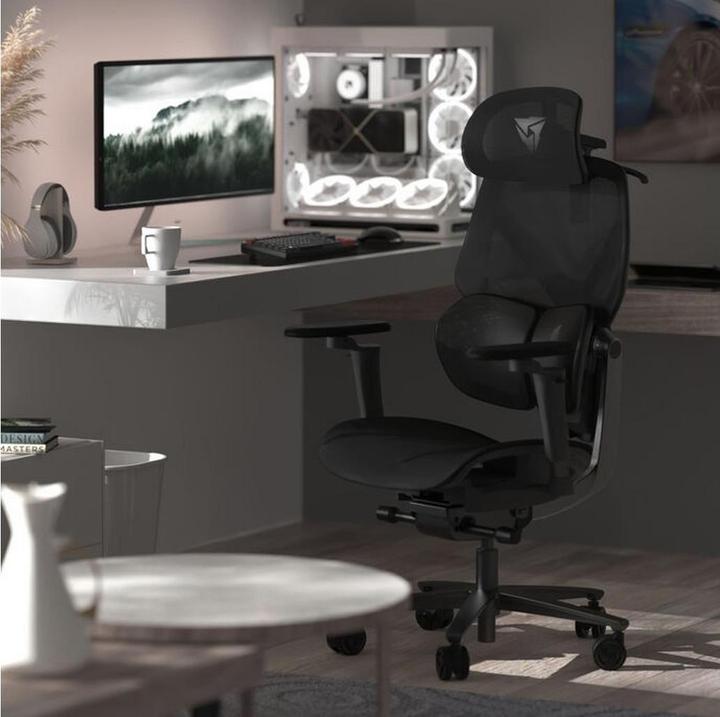 Produktbild Thunder X3 ThunderX3 FLEX Pro Gaming Stuhl, ergonomisch - Mesh, schwarz