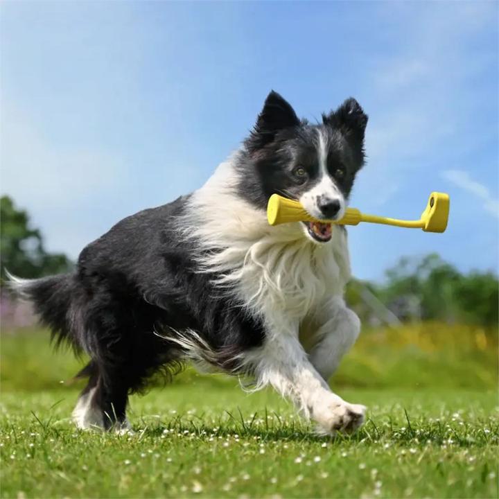 Actual product image Insta360 Fetch Stick