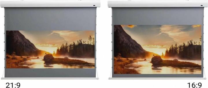 Produktbild Celexon HomeCinema Dynamic Slate ALR (120", 16:9)