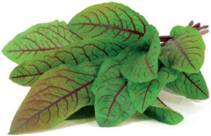 Actual product image Click and Grow Wood Sorrel Seeds (Plant seeds)